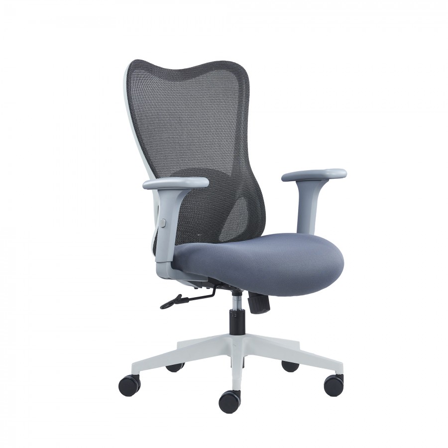 Zephyr Ergonomic Mesh Office Chair